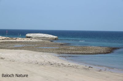 Astola  Beach
Hapt Talaar tayab
ہپت تلار ءِ تیاب
اے ہپت تلارے روچ درتکی تیاب دپ انت اے وڑیں بازیں تیاب دپ است انت ۔ اے بلوچستان شرتریں ءُ  ڈولدار تریں جزیرہ  انت ۔ اشیے تر و  تاب ءَ مردم سیر نہ کنت ۔ ادا باید انت کہ انچو ڈولدار کتیں ءُ تنکہ مردم ادا پہ تر و تاب بیتکین  انت ۔ اشانی سیر بکتیں ۔ ادا قدرت باز ندادرگ است ۔ ادے درچک دار مرگ دگہ بازیں لولوک ءُ جانور دست کپیت ۔ 
