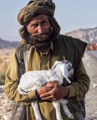 Baloch shepherd
شوانگ اُو شپانک
اے پیرمرد یک شوانگے کہ رمگ چاریں ایت 
Keywords: Baloch shepherd