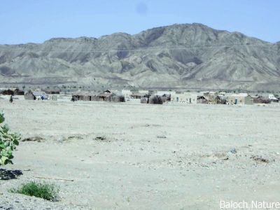 A Baloch village on mountain
Baloch Metag Koh e damon a 
بلوچ میتگ ، کوہ ء دامن ء
میران ء ڈیم ء چہ کمے پیسر اے میتگ کوہ ء کش ء آباد انت - اے بازارے نام اچانک انت - او باز ڈولدار انت 

