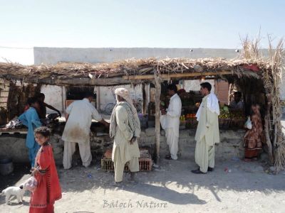 Balochistan village market
بلوچی نیادی
Balochi neyadi
ناصرآباد کیچ  ءِ نامداریں یک میتگ ءِ ءُ اشیے بازار یا نیادی دگ ءِ چپ ءُ  راست ءَ انت ،  ادا مدامی ترا یکیں کاپرے چیرا ماھیگ گوشت سبزی ءُ میوہ دست کپیت ۔ پہ سودائی ءَ ناصرآباد ءَ نودز چربک للین ھیرآباد ھوت آباد ءُِ کش ءُ گورے مردم ہمک سہب بیگاہ ناصر آباد ءَ بہ سودائی کاہنت ۔ چمیشکا ناصرآباد ءِ نیادی رش انت ءُ ترا زندگی ءِ ہمک تک ءِ زلوریات دست کپ انت ۔
