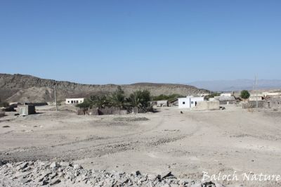 Village in Kech Balochistan 
کیچ ء میتگ
Kech e metag
