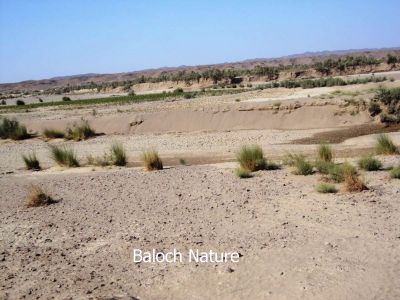 Rain Cultivation land
کوری کشاری زمیں
Kori Kishari zamin

وھدے کہ بلوچستان ء گرماگی ہور بہ بنت گڈا بلوچستان باز جاھاں سُہرو، ماش، پرماش، گُہاروک، کُٹّگ دھل کش، تیجگ، ء انت - اے اکس ءِ توک ءَ چہ دور ءَ کشار گندگ بنت۔ 
