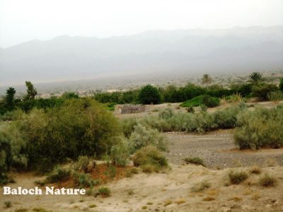 A landscape of Balochistan
لاکی مشکے
Laki Mashkay
