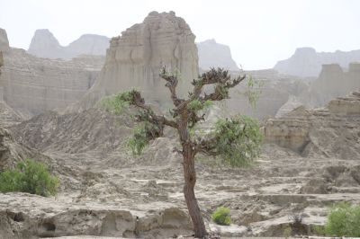 Landscape of Balochistan
بلوچستان ء ندارگ
Balochistan e Nadarag
بلوچستان ء کوہانی نداراگ باز ڈولدار انت ۔ اے اکس ہم بلوچستان کوھانی یک ڈولدار تریں جاھاں چہ یکے
