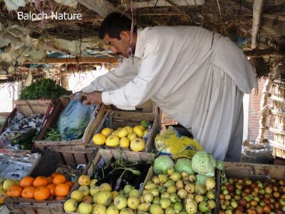 A fruit shop
بلوچانی میوہ ءِ دکان
Balochani miwa e dokan
بلوچاں تنیگا میوہاں ہچ وڑیں نیادی نیست۔ تنیگا بلوچستان ءِ گیشتر ھنداں روایتی دکان جوڑ کتگ انت۔ 

