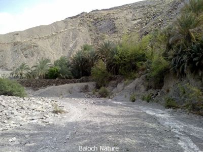Nalonj water stream Balochistan
نلونج ء کور
Nalonj e kor
