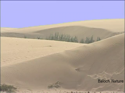 A Desert valley in Balochistan
کشاورزی ماں ریک ءَ
بلوچ ہما جاہ کہ آباد بوتگاں آہان وتی وس و واک ء وڑا کشاورزی کتگ ادا چپ ءُ چاگرد ءَ  ماں ریک ء تہا ہم ترا کشارے نشان گندگ بنت ۔ 
