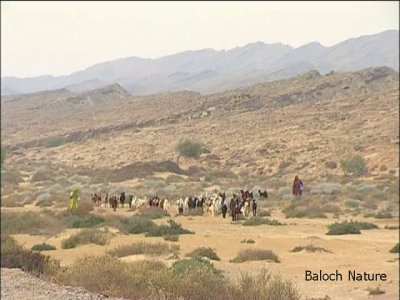 رمگ
Ramag
رمگ بلوچستان ء کوھانی زینت انت

