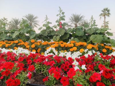 A beautiful landscape 
Doldarin Nadarag
اے یک ڈولداریں ندارگ ات اشیے توک پُل گچین کتگ ءُ کشتگ انت ۔ 

