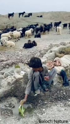 Konda
Konda
ادا کسانیں شوانگے کنڈا ھا کار مرز کنگان انت 
کنڈا  بلوچانی یک کوہنیں ادارُکی درپ ات ۔ کہ گیشتر وھدے مردم چہ لوگ ءَ دور بیت ءُ کوہانی تہا بیت گڈا کنڈا چہ کوہی پیش بزاں چہ داز ءَ جوڑ کنگ بیت ۔ اشیا چہ چمگ ءُ کانیاں آپ تِنگ انت کنڈا چہ بینگ مان کن انت  چاہ ہم گراد انت ۔ ایشانی توکا نان ءُ ماھیگ مان کن انت پچ  انت ۔ ناہ مان کن انت  گٖڈا پیش بند گوش انت ۔ 
شما اشیے باروا چے زانے 
