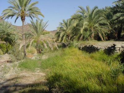 Panjgor landscape 
Panjgor e nadarag
اے پنجگور ءِ  مچکدگ انت ۔ 
